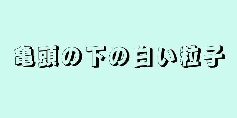 亀頭の下の白い粒子