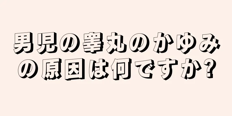 男児の睾丸のかゆみの原因は何ですか?
