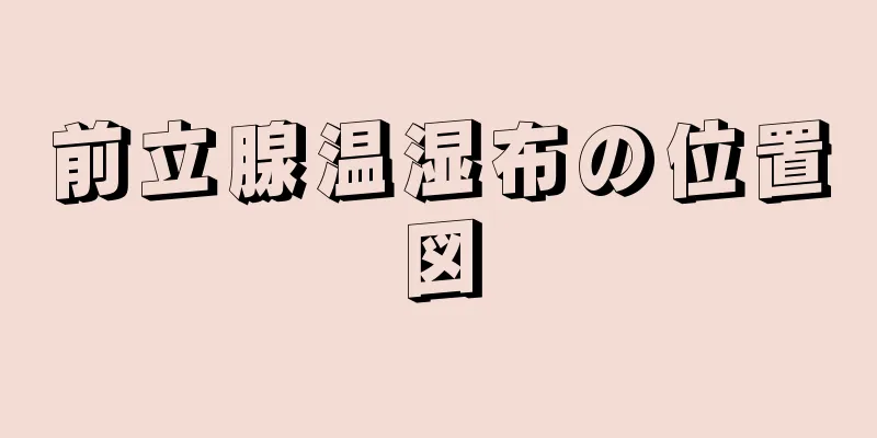 前立腺温湿布の位置図