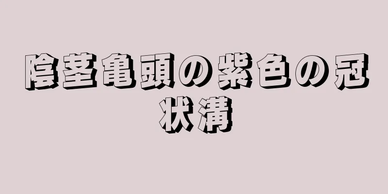 陰茎亀頭の紫色の冠状溝