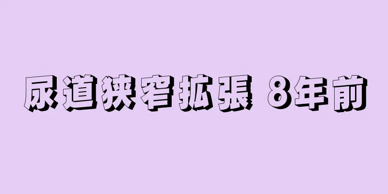尿道狭窄拡張 8年前
