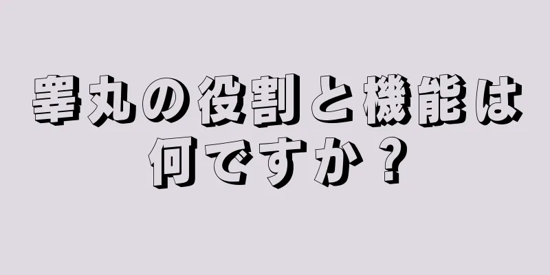 睾丸の役割と機能は何ですか？