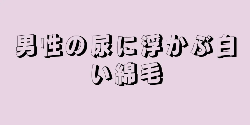 男性の尿に浮かぶ白い綿毛