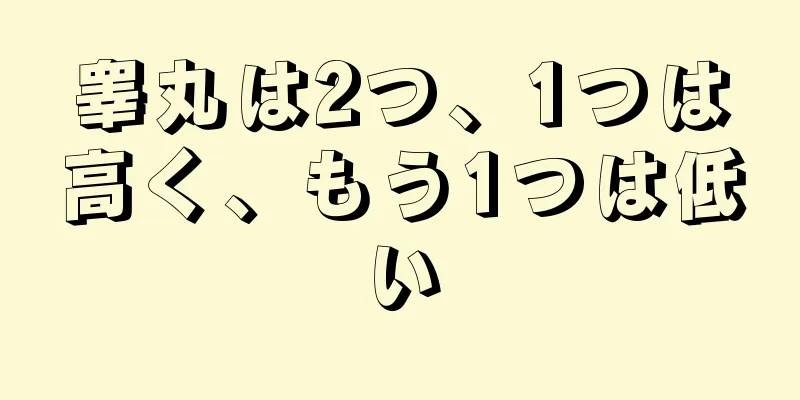 睾丸は2つ、1つは高く、もう1つは低い