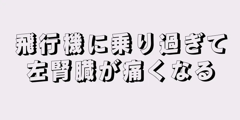 飛行機に乗り過ぎて左腎臓が痛くなる