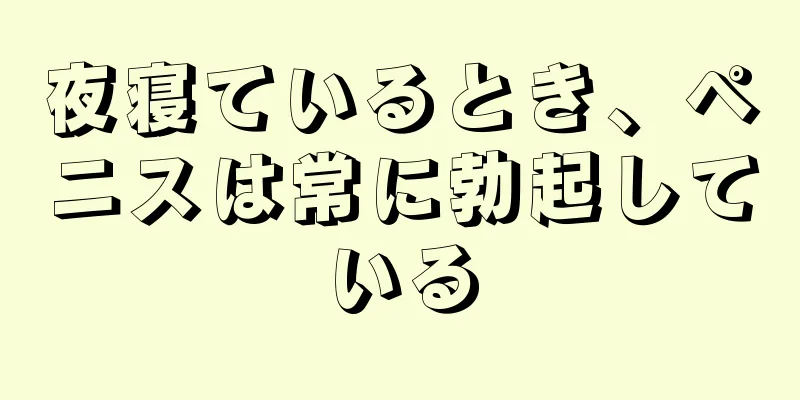 夜寝ているとき、ペニスは常に勃起している