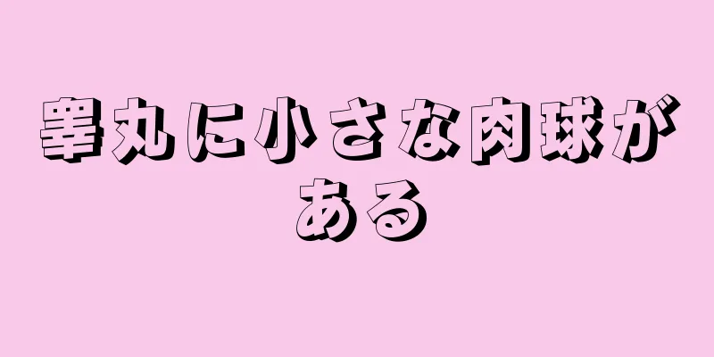睾丸に小さな肉球がある