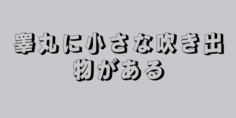 睾丸に小さな吹き出物がある