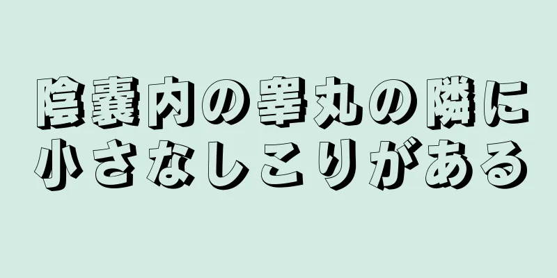 陰嚢内の睾丸の隣に小さなしこりがある