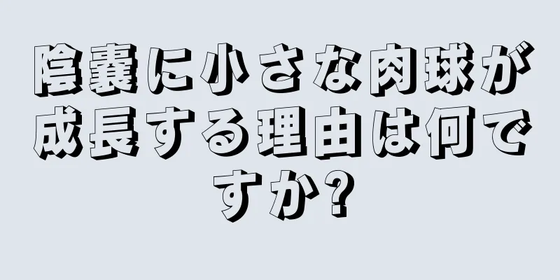 陰嚢に小さな肉球が成長する理由は何ですか?