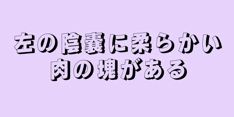 左の陰嚢に柔らかい肉の塊がある