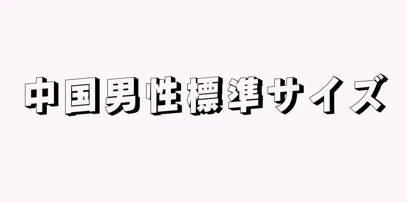中国男性標準サイズ