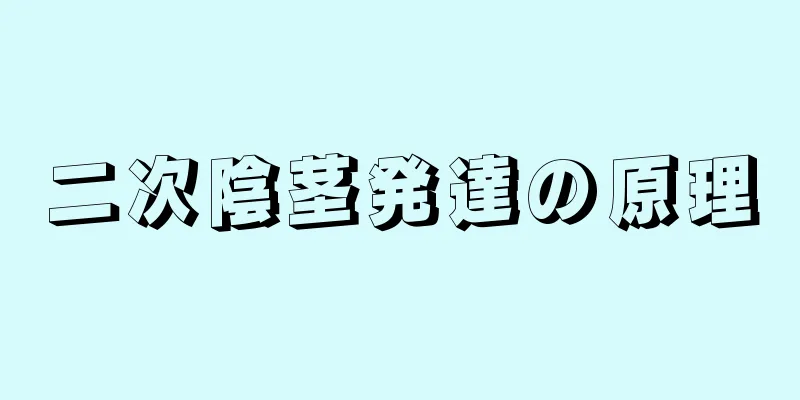 二次陰茎発達の原理
