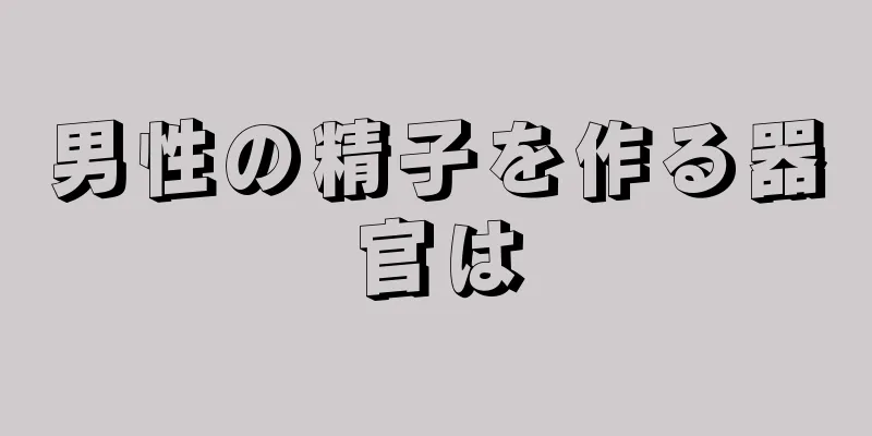 男性の精子を作る器官は