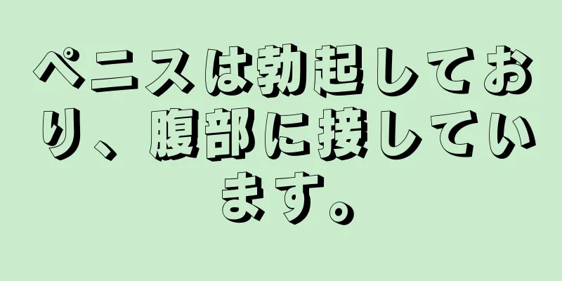ペニスは勃起しており、腹部に接しています。