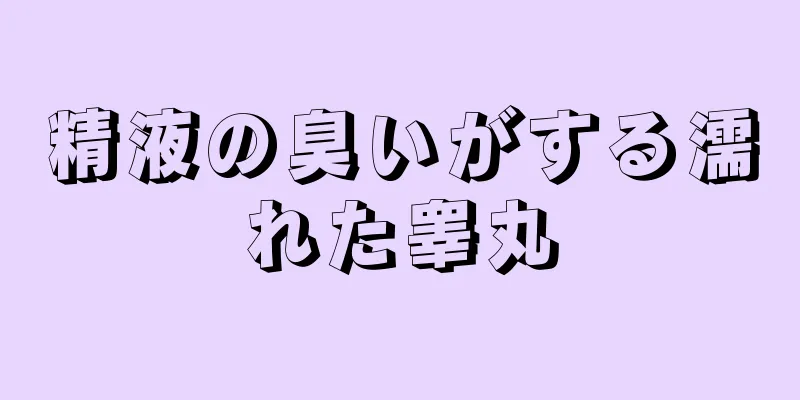 精液の臭いがする濡れた睾丸