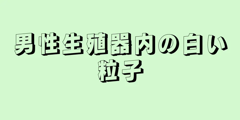 男性生殖器内の白い粒子