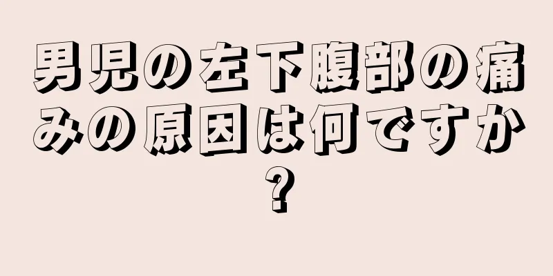 男児の左下腹部の痛みの原因は何ですか?