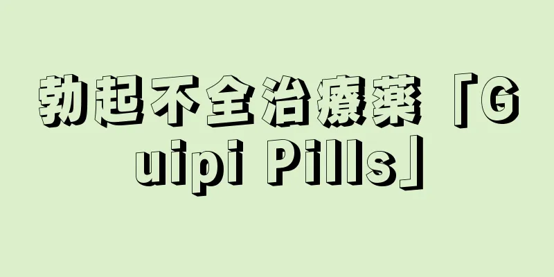 勃起不全治療薬「Guipi Pills」