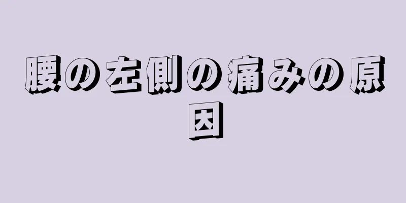 腰の左側の痛みの原因