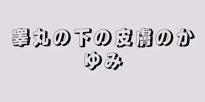 睾丸の下の皮膚のかゆみ