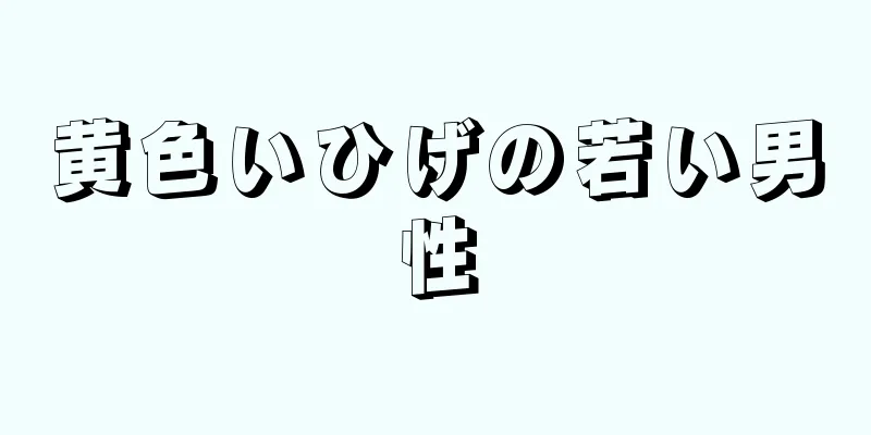 黄色いひげの若い男性