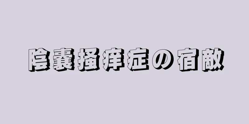陰嚢掻痒症の宿敵
