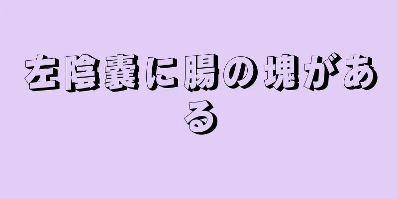 左陰嚢に腸の塊がある