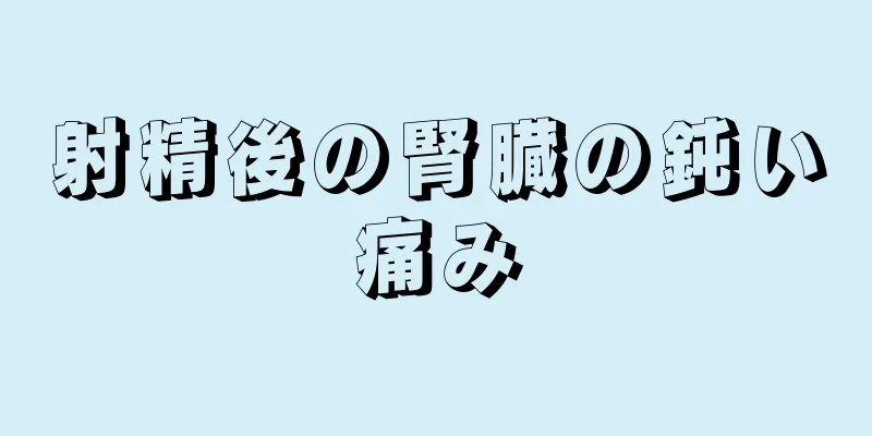 射精後の腎臓の鈍い痛み