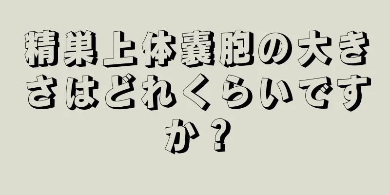 精巣上体嚢胞の大きさはどれくらいですか？