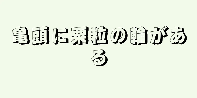 亀頭に粟粒の輪がある