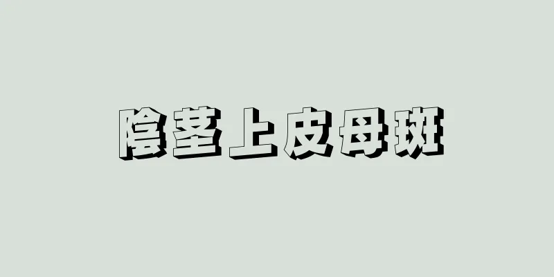 陰茎上皮母斑