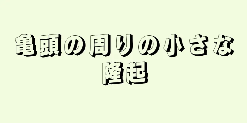 亀頭の周りの小さな隆起
