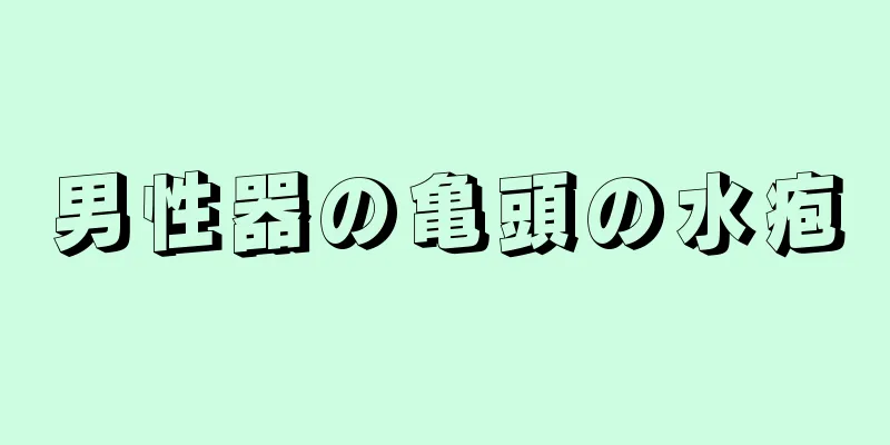 男性器の亀頭の水疱