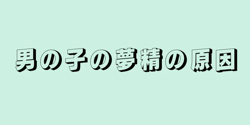 男の子の夢精の原因