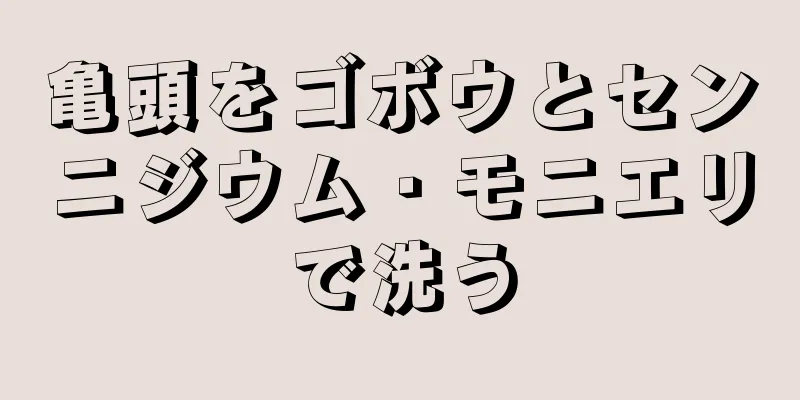 亀頭をゴボウとセンニジウム・モニエリで洗う