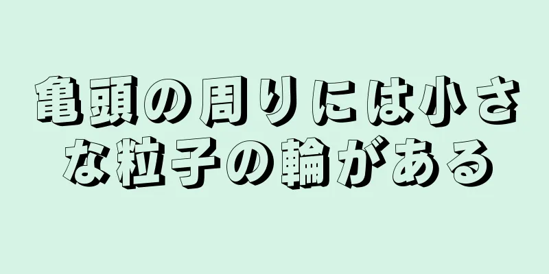 亀頭の周りには小さな粒子の輪がある