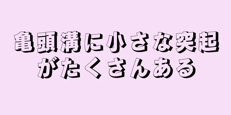 亀頭溝に小さな突起がたくさんある