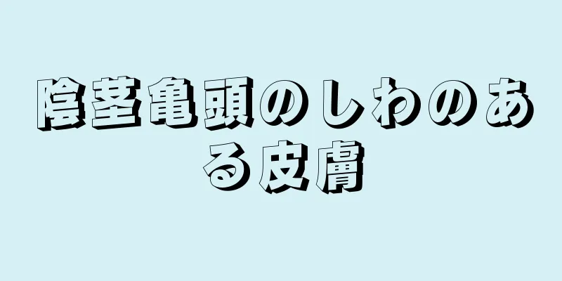 陰茎亀頭のしわのある皮膚