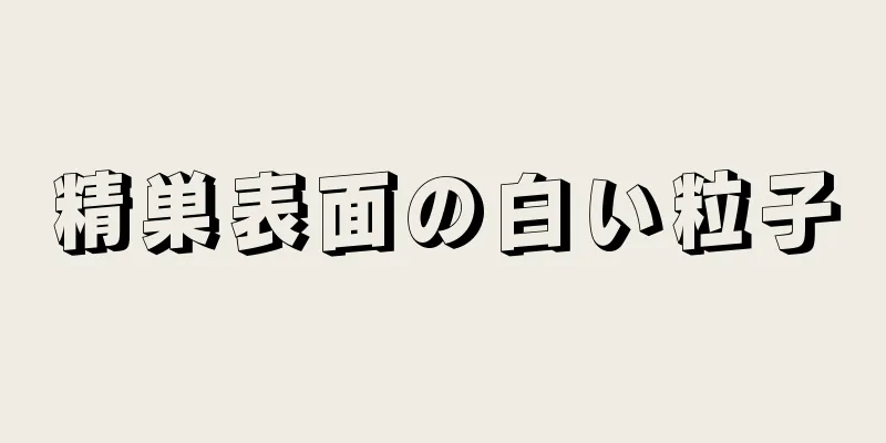 精巣表面の白い粒子