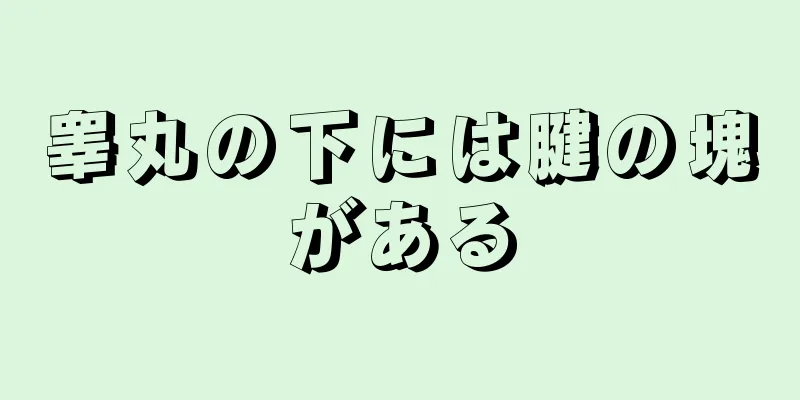 睾丸の下には腱の塊がある