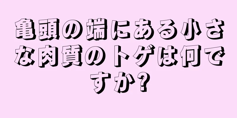 亀頭の端にある小さな肉質のトゲは何ですか?