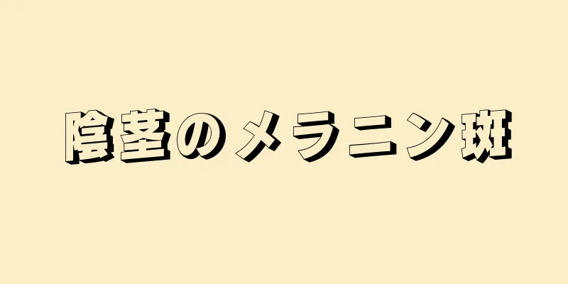 陰茎のメラニン斑
