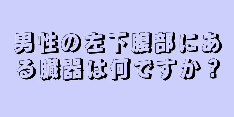男性の左下腹部にある臓器は何ですか？