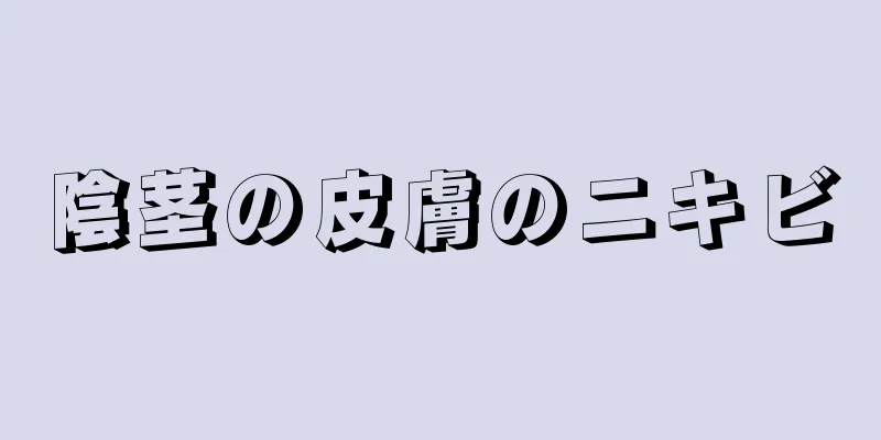 陰茎の皮膚のニキビ