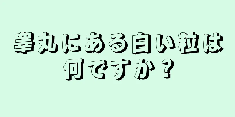 睾丸にある白い粒は何ですか？