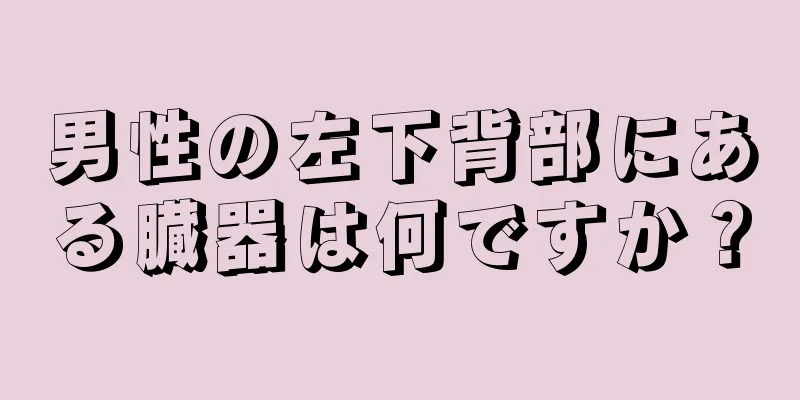 男性の左下背部にある臓器は何ですか？