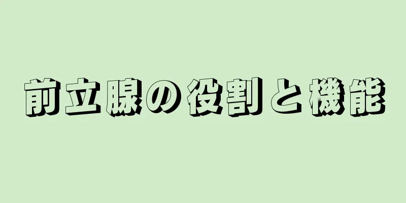 前立腺の役割と機能