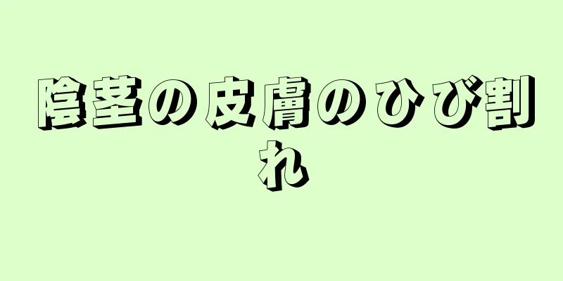 陰茎の皮膚のひび割れ