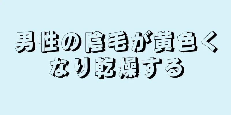 男性の陰毛が黄色くなり乾燥する